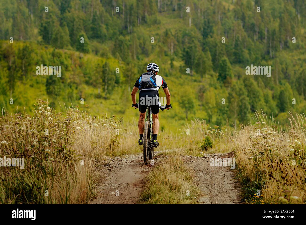 Zurück männliche Radfahrer mit Rucksack auf Mountainbike Reiten Trail im Gras Feld Stockfoto
