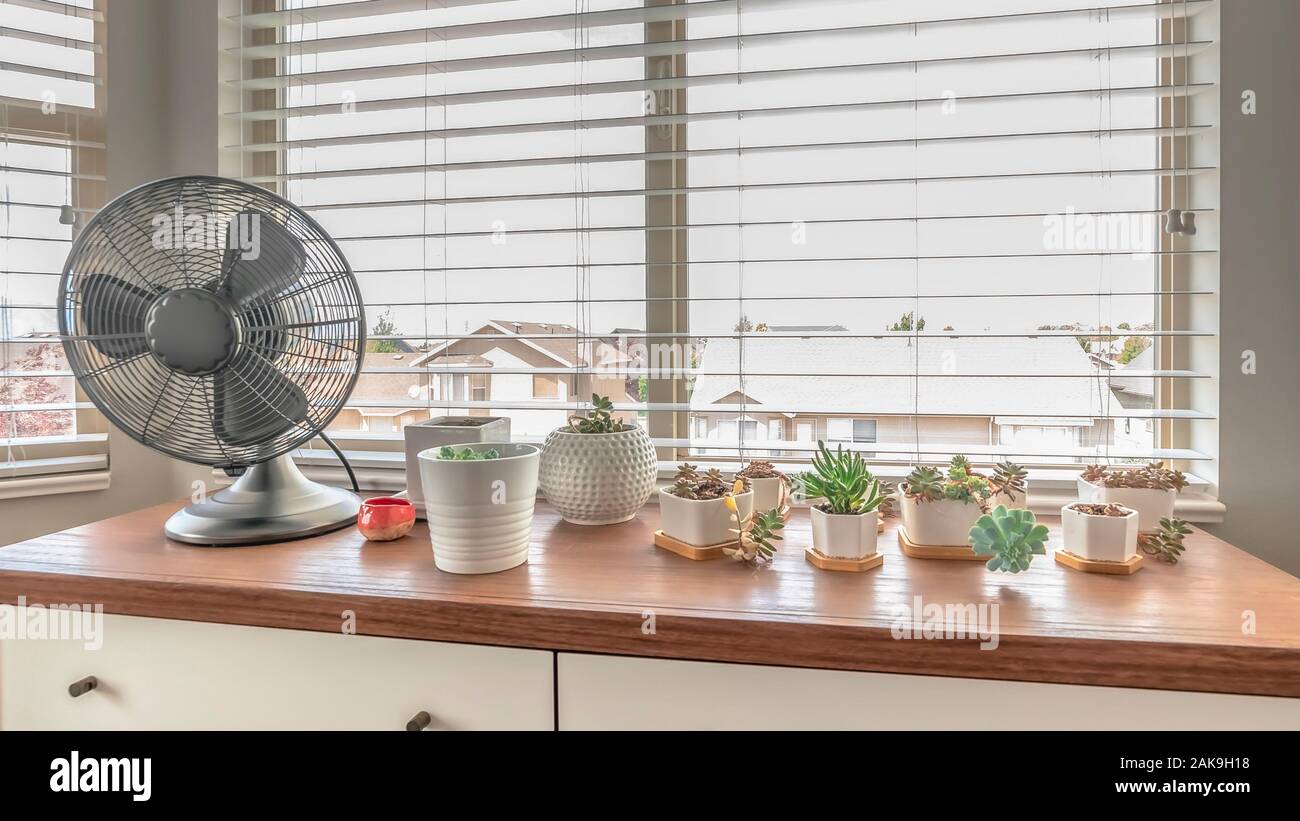 Pano Home Interior mit eingetopfte Kakteen und elektrischer Ventilator auf Kabinett gegen Erker Stockfoto