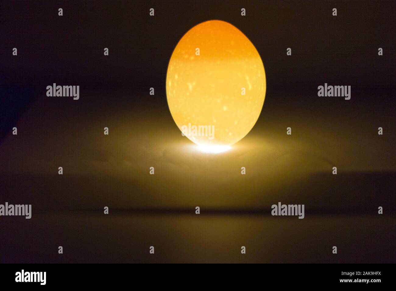 Hühnerei Hintergrundbeleuchtung von unten mit einem Telefon Taschenlampe. Das Eigelb, Eiweiß und Shell Struktur sichtbar sind. Makrofotos. Stockfoto