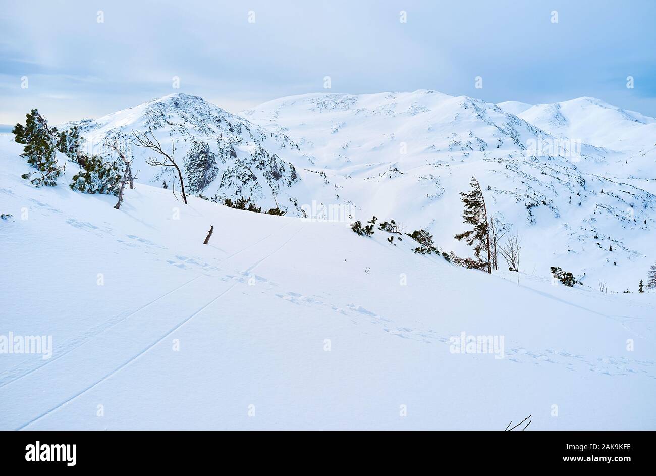 Die Schönheit der Alpen genießen, wandern durch die verschneite Weite der Feuerkogel Hochplateau, Ebensee, Salzkammergut, Österreich Stockfoto