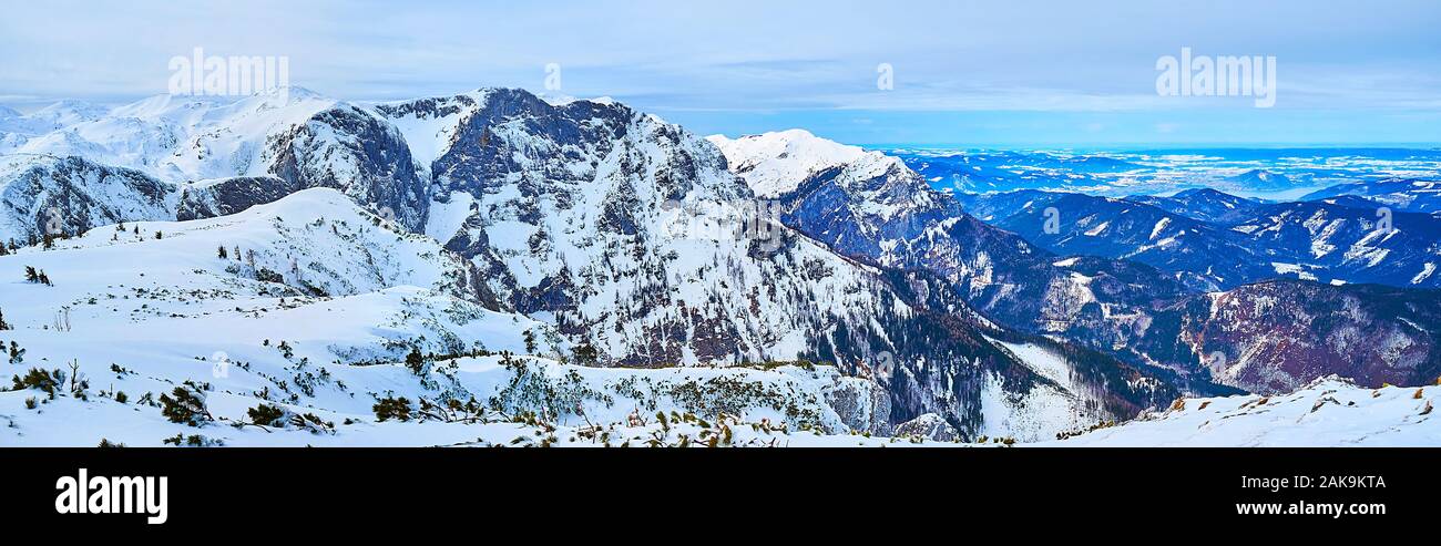 Alberfeldkogel Berg mit Blick auf den felsigen Dachstein Alpen, mit Schnee und Armen nadelholz Vegetation, Ebensee, Salzkammergut, Österreich abgedeckt Stockfoto