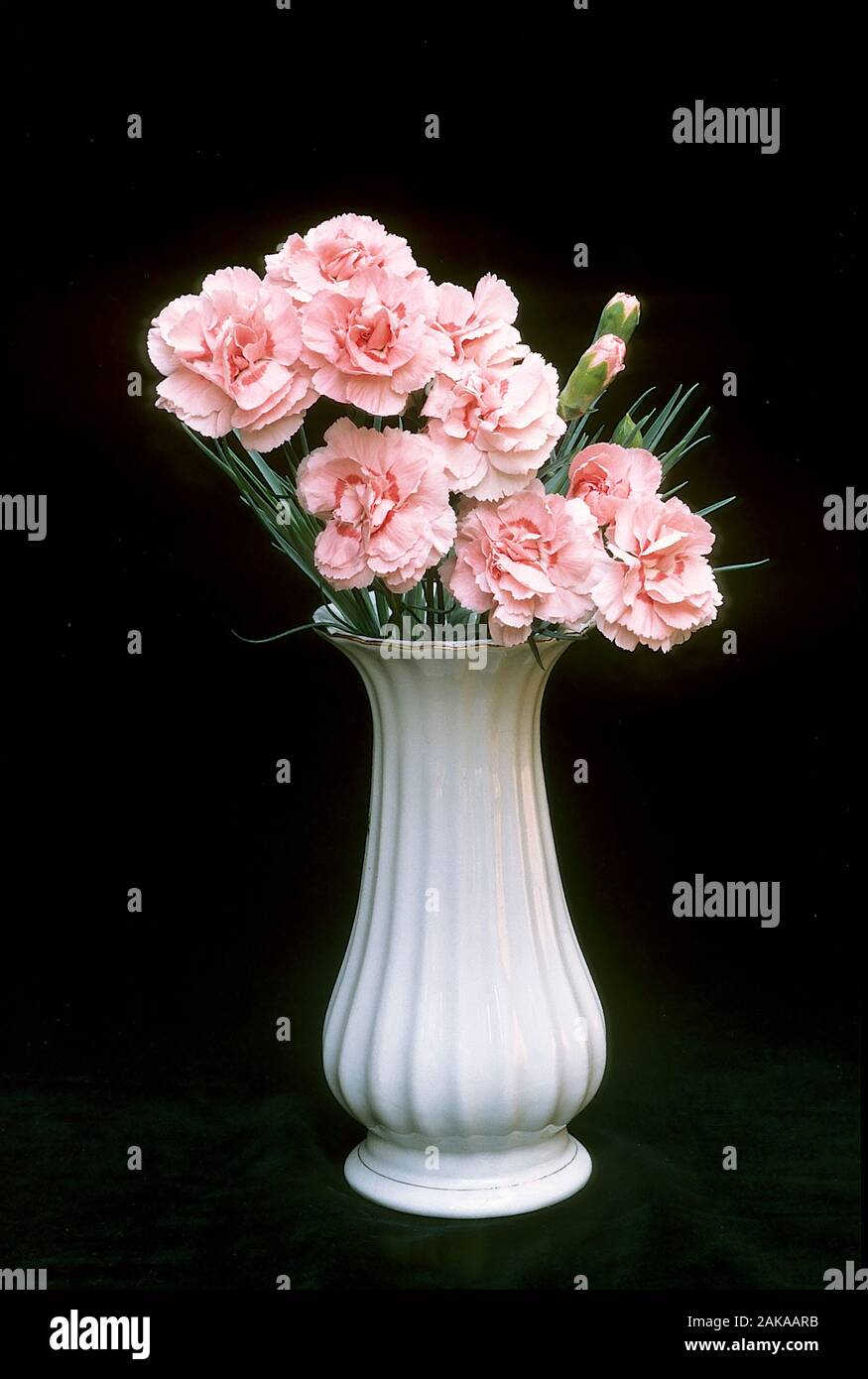 Ein Haufen Dianthus Doris in einer kleinen Vase und setzte vor einem schwarzen Hintergrund. Auch als "Carnation" oder "Pink" bezeichnet. Stockfoto