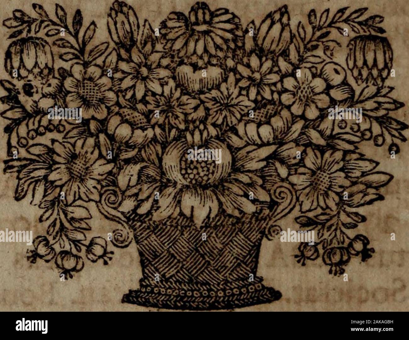 Acta Academiae Caesareae Leopoldino-Carolinae Physico-Medica. . ; Praft. Norimbergenf Serenift Magnae Du-ciffae Etruriae Confiliar. Aulic. & Archiater. f 1731. d. 29 * aetat. aufn Septemb. 40. 398. DN. Albertus SEBA, Pharmocopaeus Amfteloda - menfis, Societat. Vo Anglikanische. Bononienf In-ftituti Scientiarum Sodalis.^ 1736. d. 1. Maj, Ann, 2 £ tat. *71*410. DN. D. Iohann. TheophilusWlNDISCH, Prafti-cus Pofonienfis in Ungarn. • {• 302. (O; OrdoReccptionis, 412. DN. Iohann. Henricus, MULLERUS Phyfices & Mathemat. Prof. Publ. in Academ. Altorfina. f 1731. d. 5. Mart. Aufn aetat* 60.316. DN. D. Iohann. Frid Stockfoto