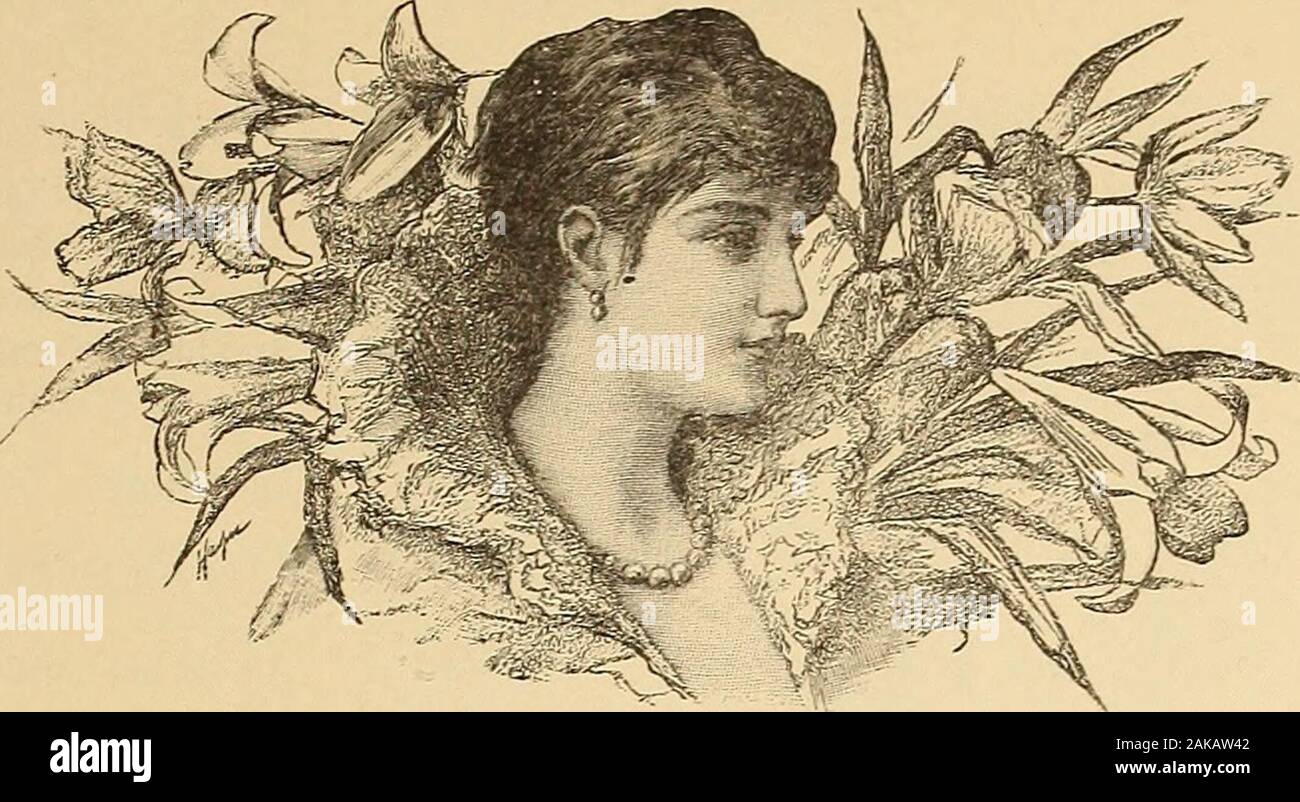 Amerikanische Kunst Und Amerikanische Kunst Sammlungen Essays Uber Die Kunstlerischen Facher Kopf Von Diana Foto Radierung Von Malerei William St John Harper Dieses Gemalde Wurde Gemacht Um Das Schone Gedicht Von
