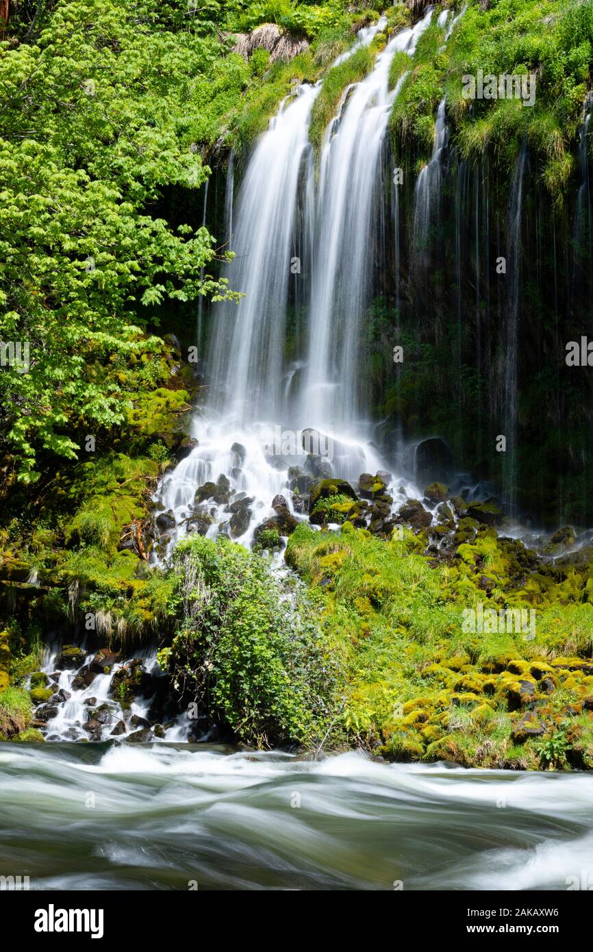 Blick auf Panther fällt, Skamania County, Washington, USA Stockfoto