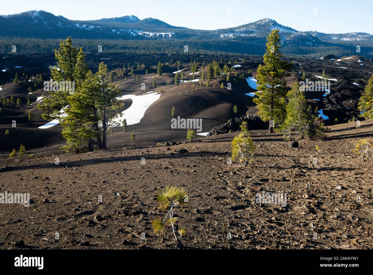 Blick auf hügeligem Gelände im Winter, Lassen Volcanic National Park, Kalifornien, USA Stockfoto