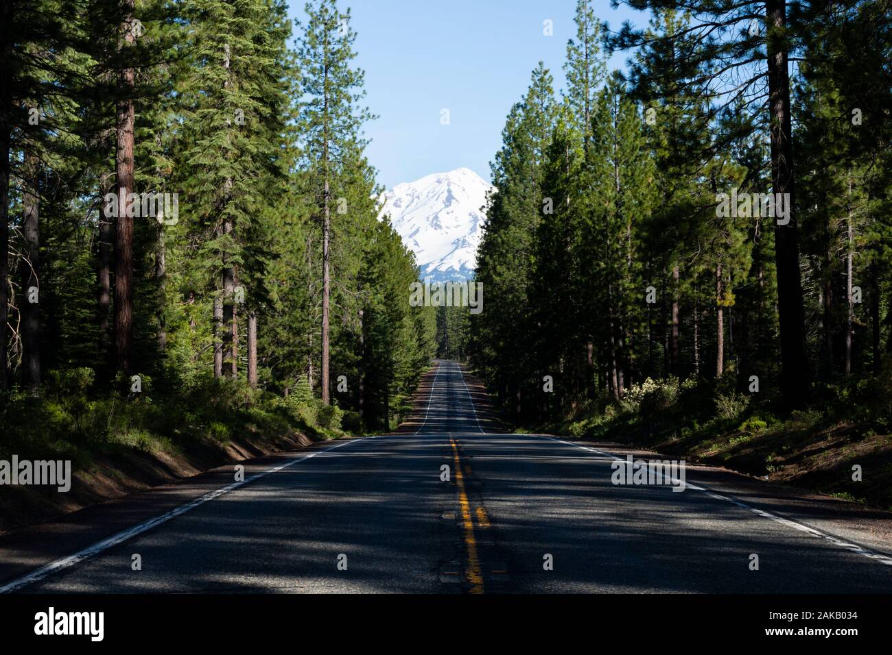 Leere Wald Autobahn Richtung schneebedeckten Mount Shasta Vulkan, Siskiyou County, Kalifornien, USA Stockfoto