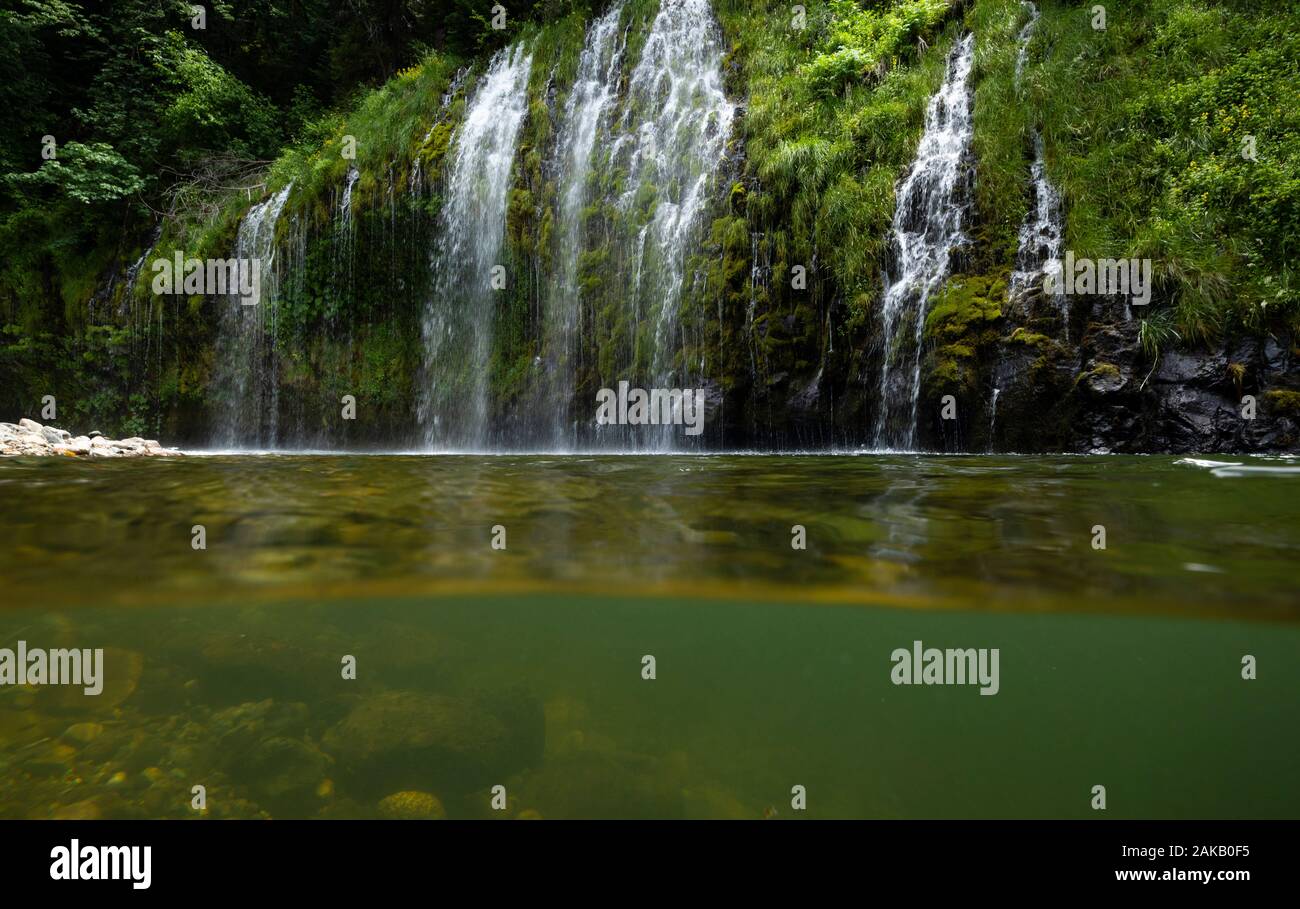 Mossbrae fällt fließt in grün Sacramento River, Dunsmuir, Kalifornien, USA Stockfoto