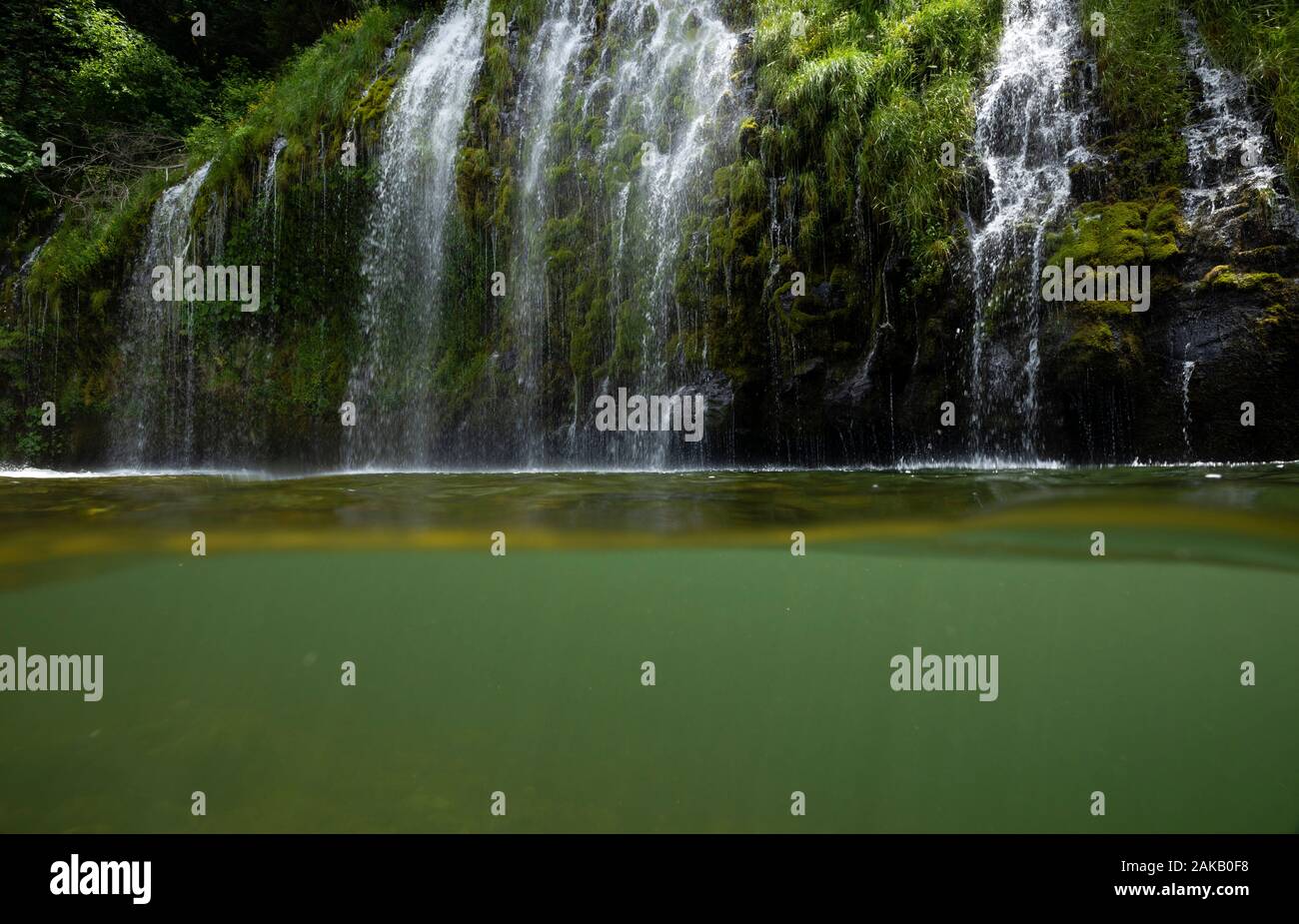 Mossbrae fällt fließt in grün Sacramento River, Dunsmuir, Kalifornien, USA Stockfoto