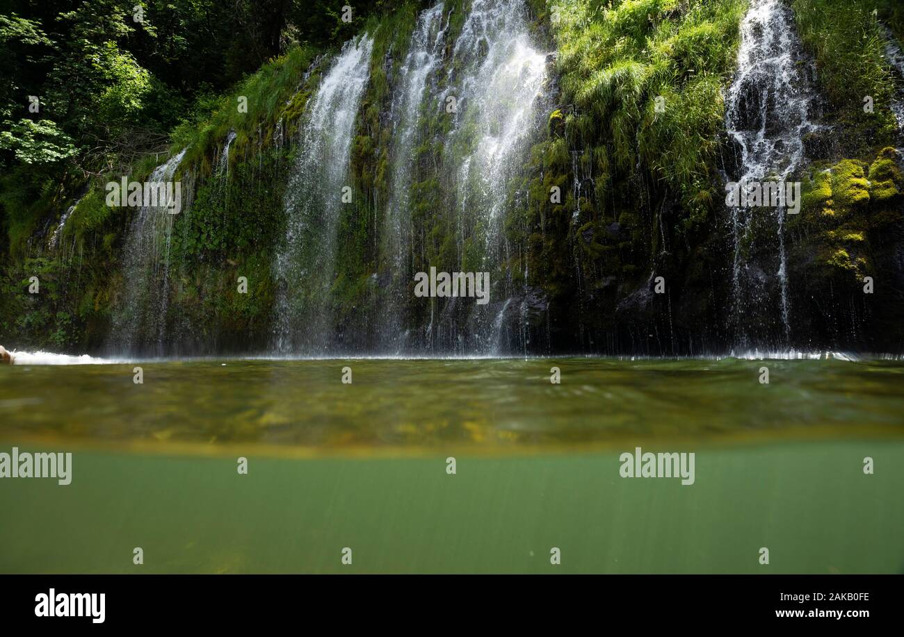 Mossbrae fällt fließt in grün Sacramento River, Dunsmuir, Kalifornien, USA Stockfoto