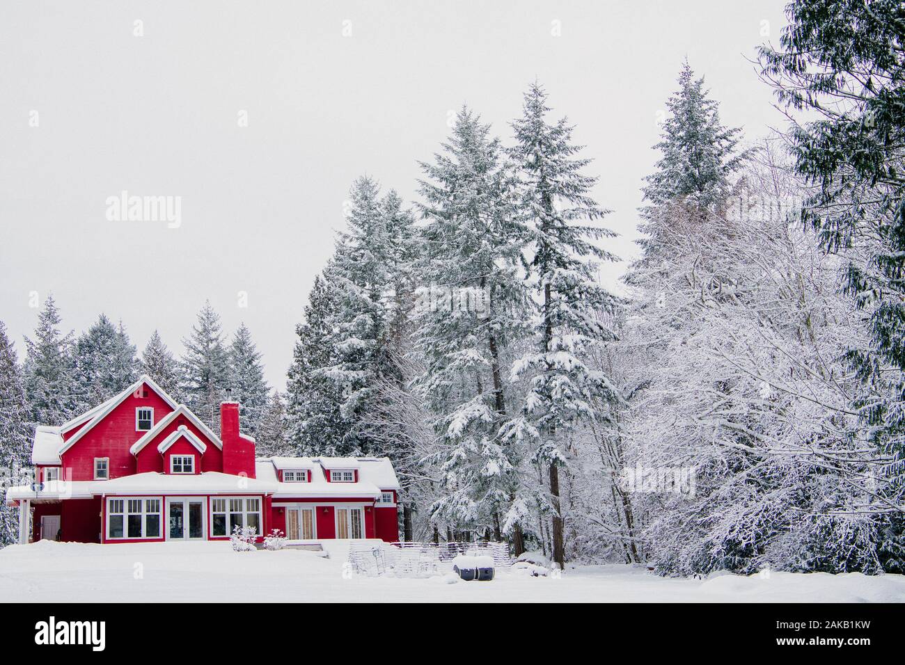 Rotes Haus in Wald im Winter, Bainbridge Island, Washington, USA Stockfoto