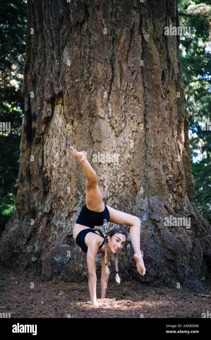 Frau Yoga unter Giant Sequoia, Tacoma, Washington State, USA Stockfoto