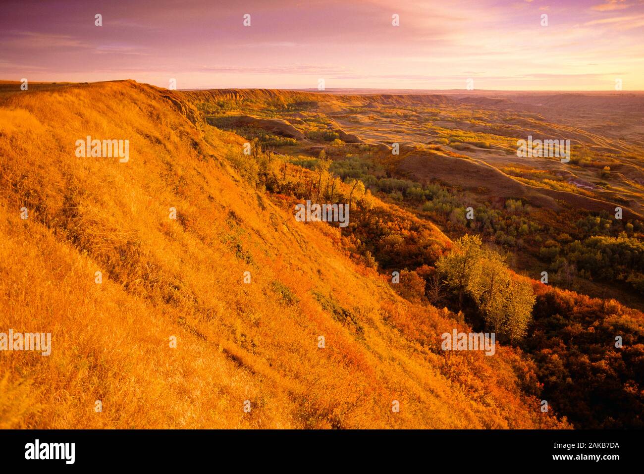 Landschaft mit Berg unter Moody Himmel bei Sonnenuntergang, trockene Insel Buffalo Jump Provincial Park, Alberta, Kanada Stockfoto