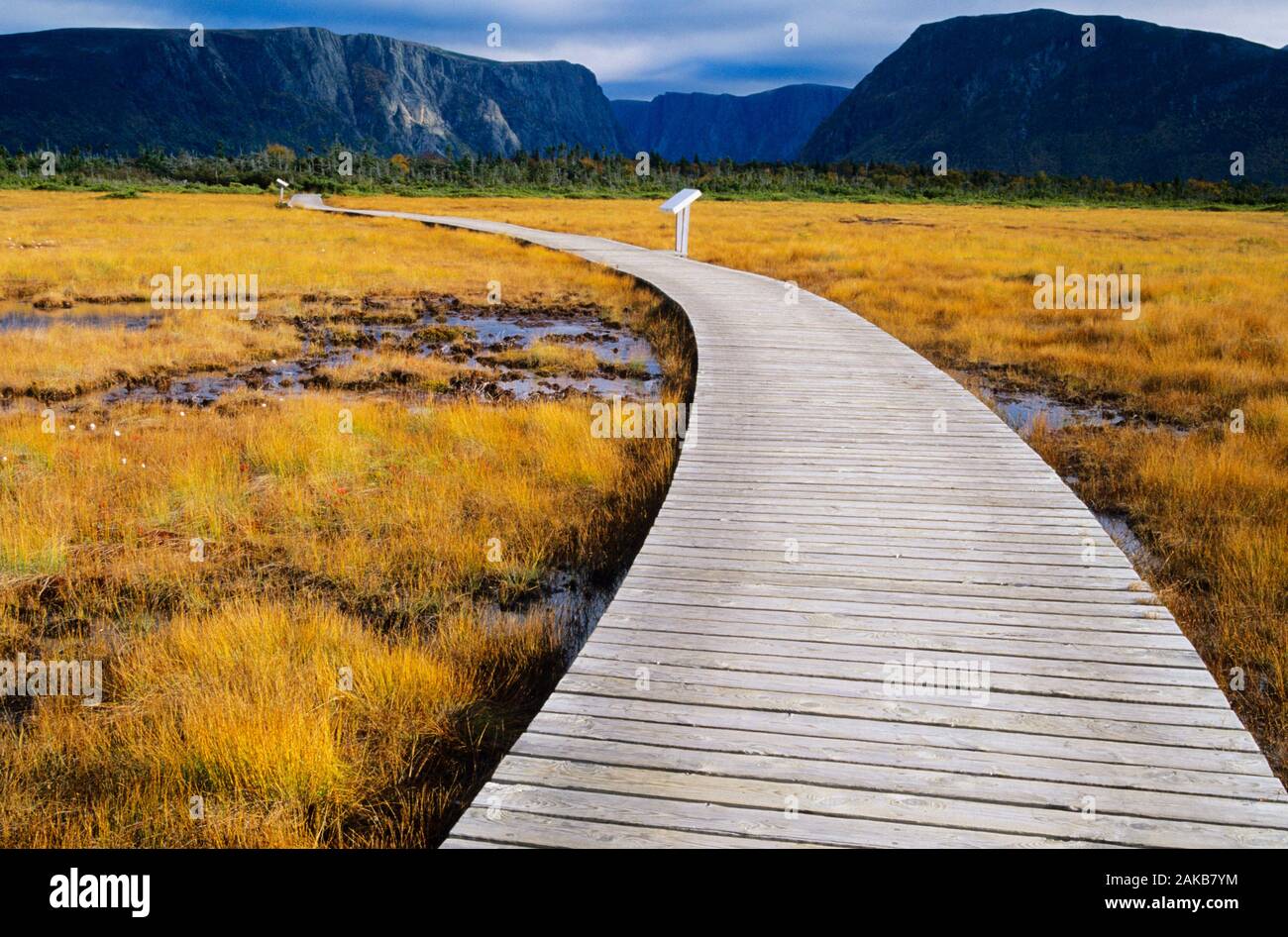 Landschaft mit Promenade über Marsh, Neufundland, Kanada Stockfoto