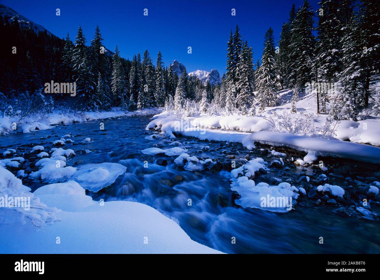 Landschaft mit Fluss und immergrünen Bäumen im Winter, Banff National Park, Alberta, Kanada Stockfoto