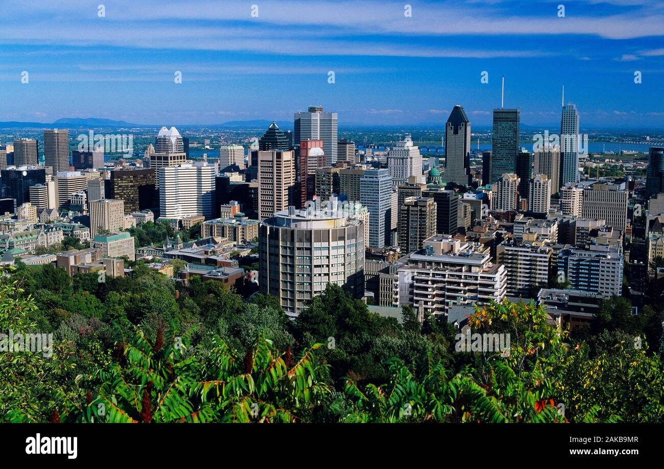 Stadtbild mit Wolkenkratzern von Montreal, Quebec, Kanada Stockfoto
