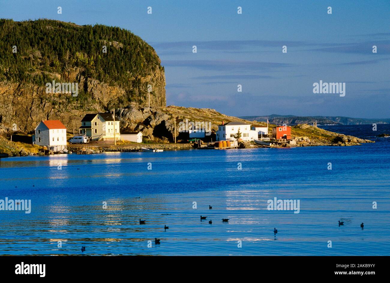 Küstenstadt retten, Neufundland, Kanada Stockfoto