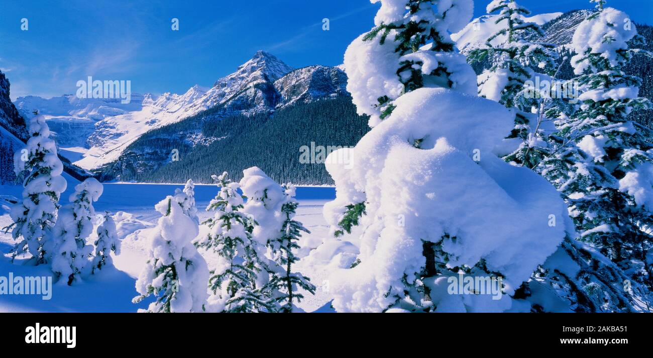 Im Winter Lake Louise, Banff National Park, Alberta, Kanada Stockfoto