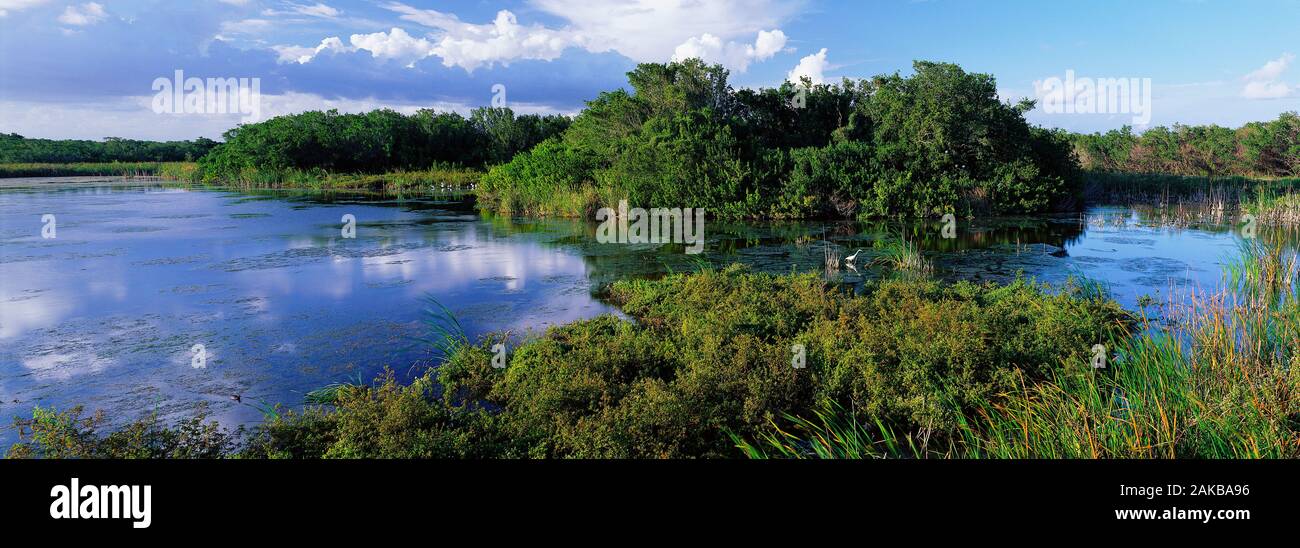 Eco Pond, Everglades National Park, Florida, USA Stockfoto