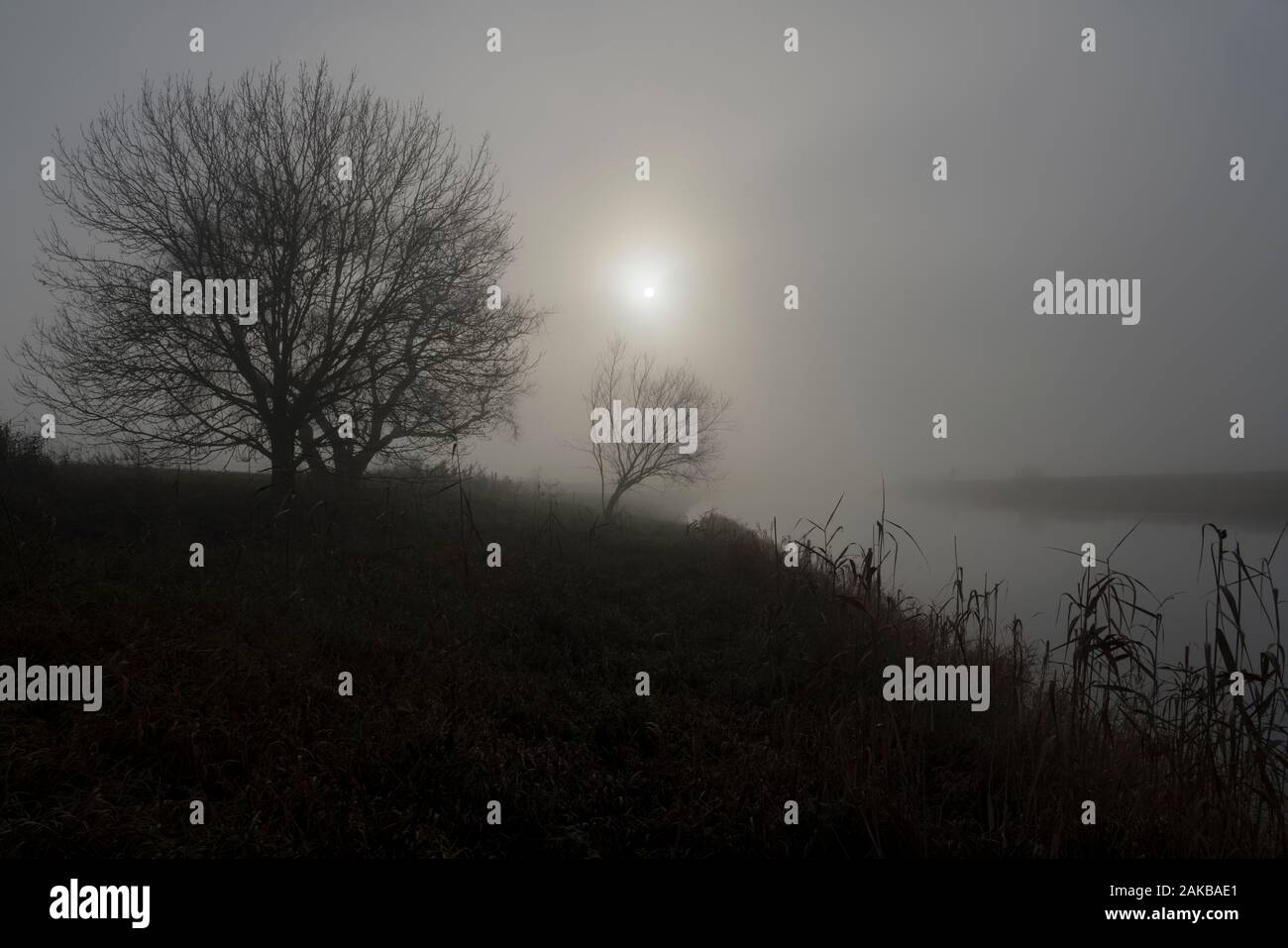 Neblige Landschaft, Oberweser, Wesertal, Weserbergland, Nordrhein-Westfalen, Hessen, Deutschland Stockfoto