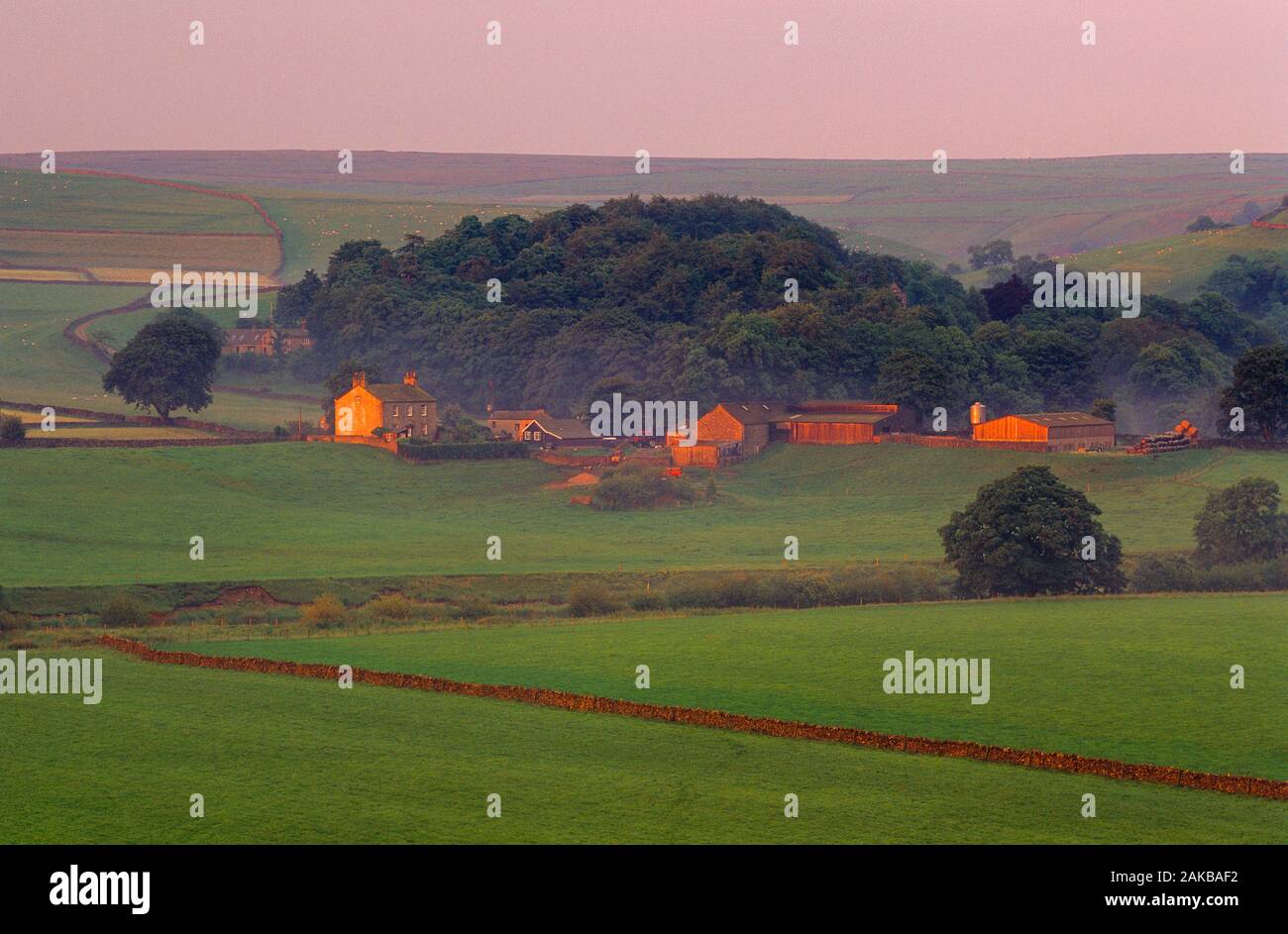 Blick auf den Hof und Felder, England, Großbritannien Stockfoto