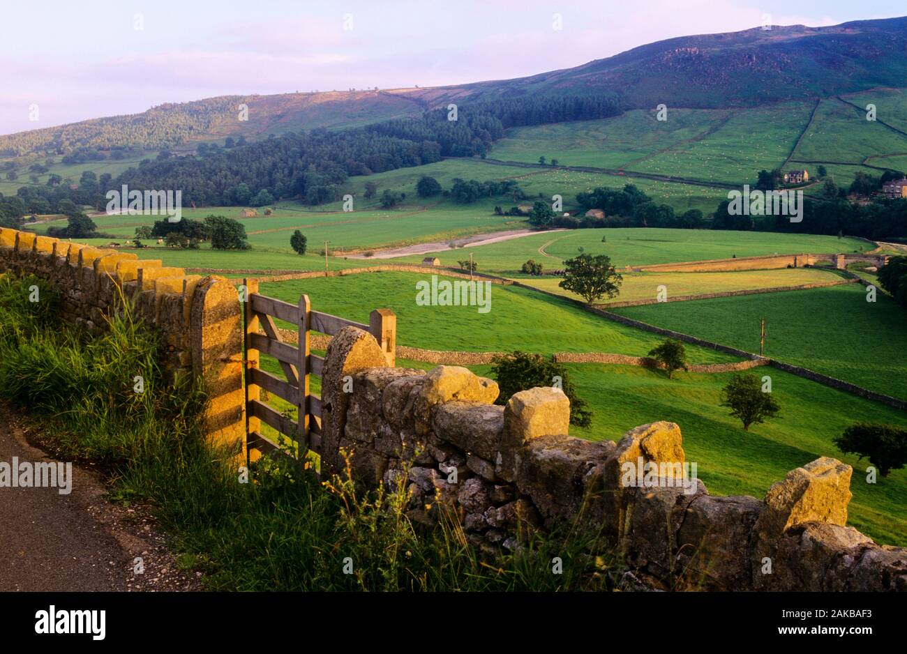 Anzeigen von Stone Fence, das Tal und die Berge, Burnsall, England, Großbritannien Stockfoto