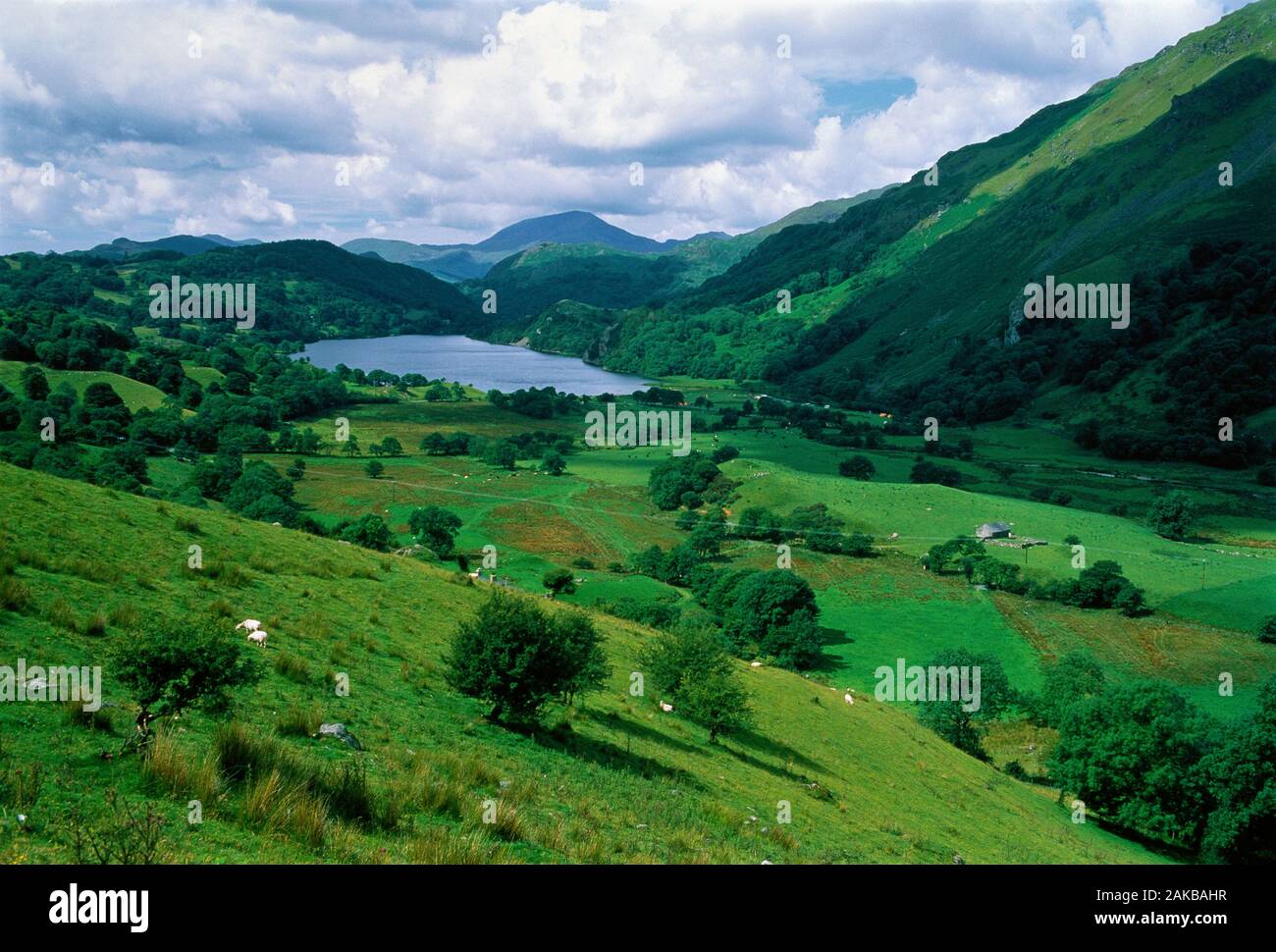 Blick auf den See unten am Berg, Wales, Großbritannien Stockfoto