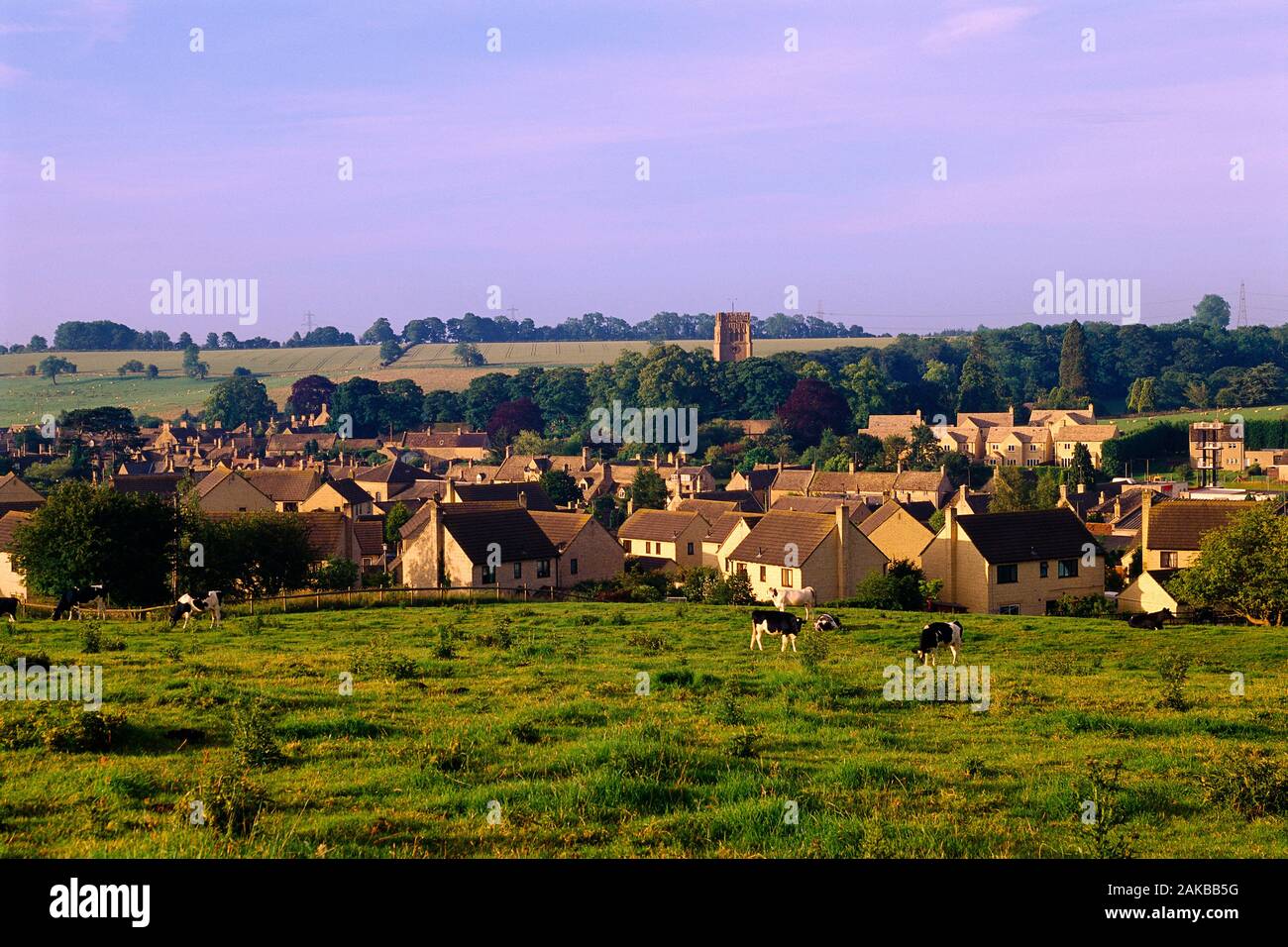 Ausblick auf die Landschaft Landschaft mit Dorf und Kühe grasen auf der Weide, Cotswolds, England, Großbritannien Stockfoto