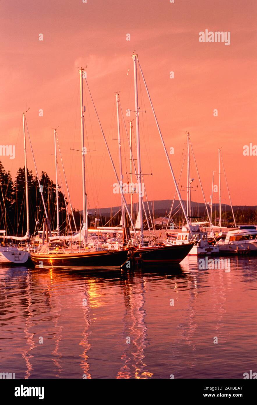 Segelboote im Hafen bei Sonnenuntergang, Berrand, Mount Desert Island, Maine, USA Stockfoto