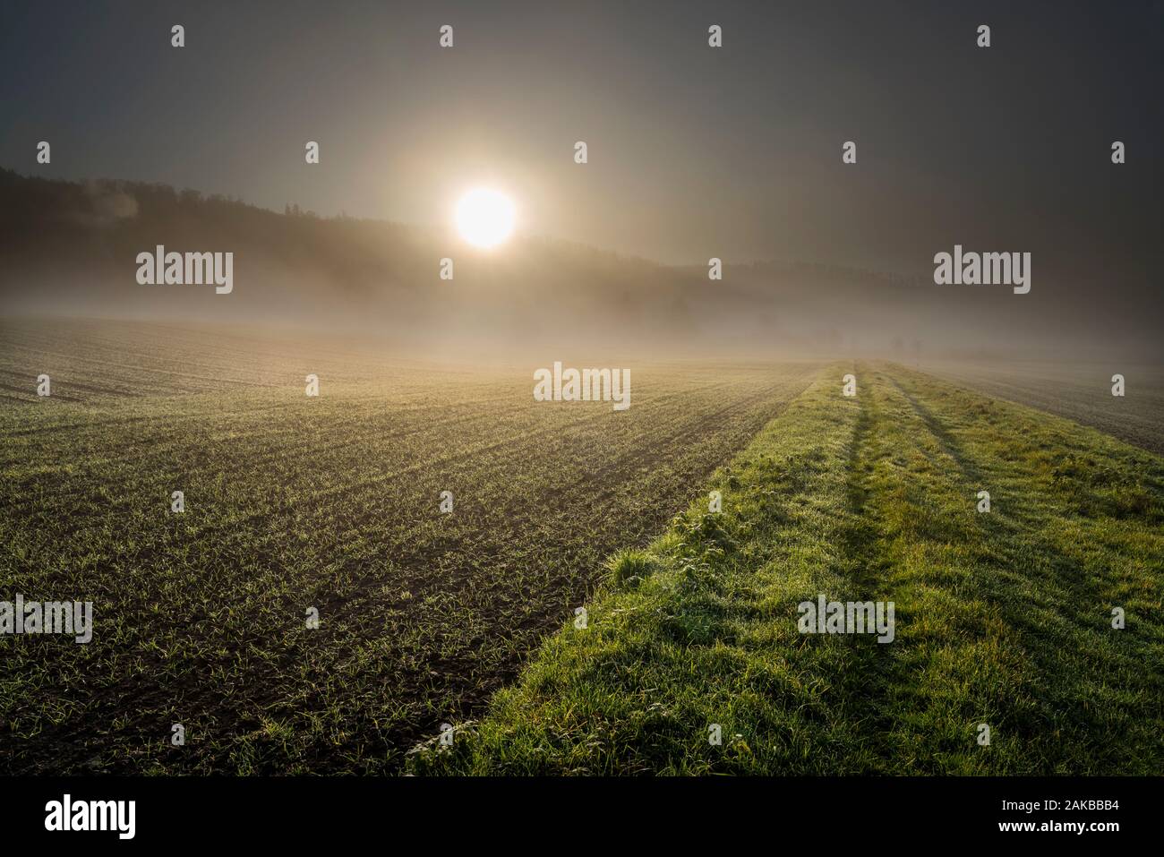 Neblige Landschaft, Oberweser, Wesertal, Weserbergland, Nordrhein-Westfalen, Hessen, Deutschland Stockfoto