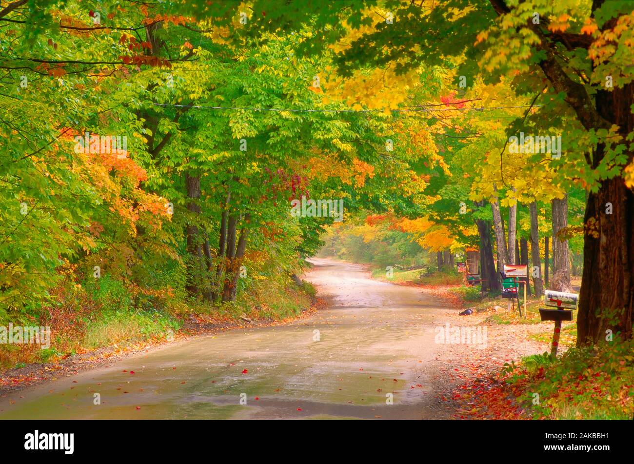 Land Straße mit Bäumen auf Seiten im Herbst, Bennington, Vermont, USA Stockfoto