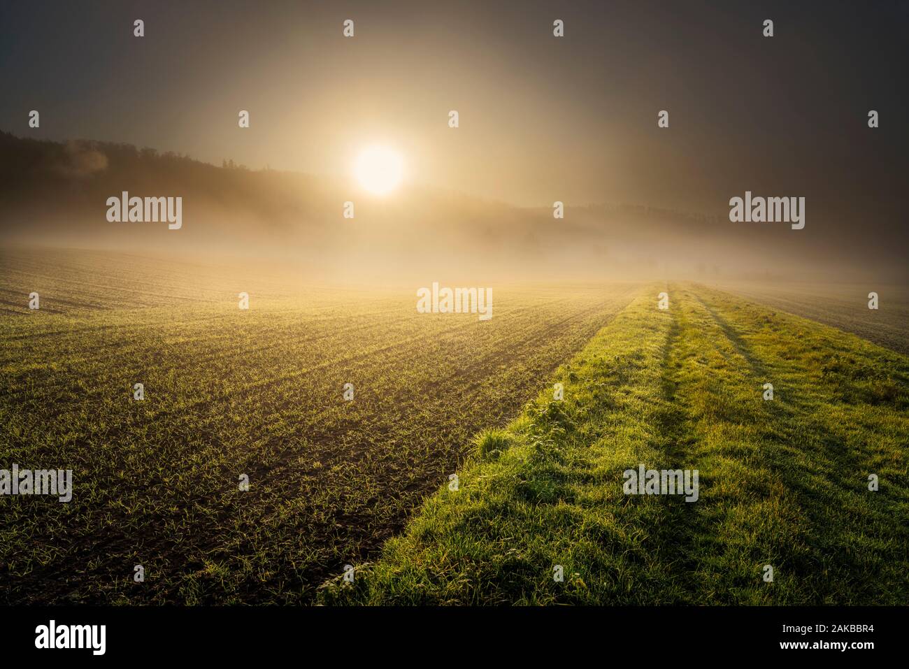 Neblige Landschaft, Oberweser, Wesertal, Weserbergland, Nordrhein-Westfalen, Hessen, Deutschland Stockfoto
