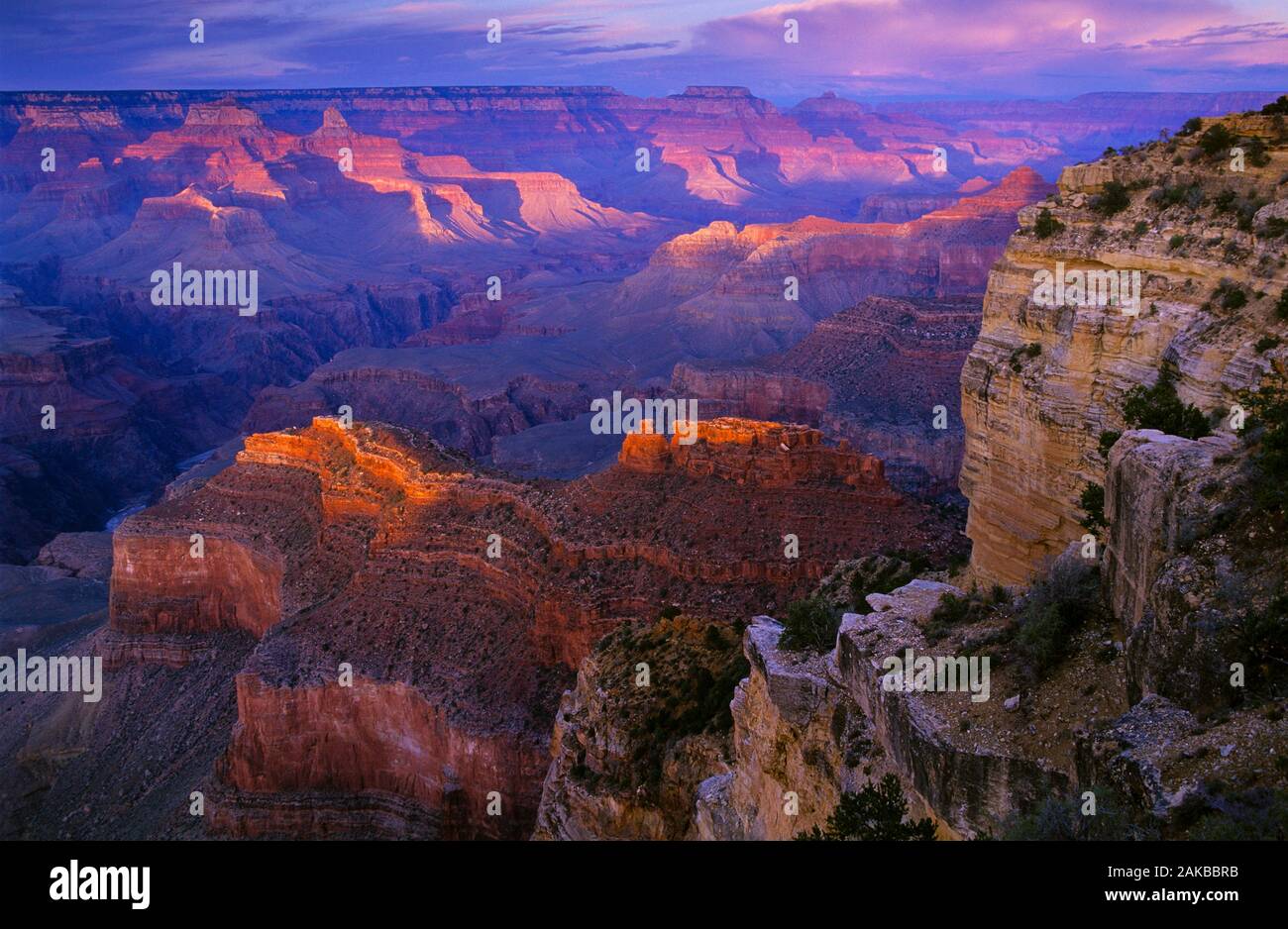 Landschaft mit Blick auf den Grand Canyon bei Sonnenuntergang, Arizona, USA Stockfoto