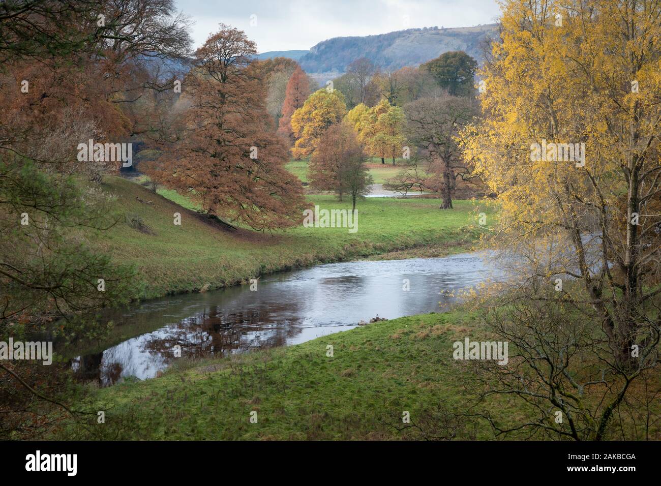 Mit Bäumen gesäumten Ufer des Flusses Leven in Levens Park, Cumbria Stockfoto