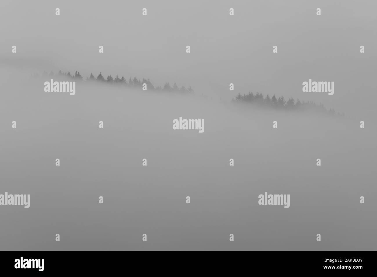 Neblige Landschaft, Oberweser, Wesertal, Weserbergland, Nordrhein-Westfalen, Hessen, Deutschland Stockfoto