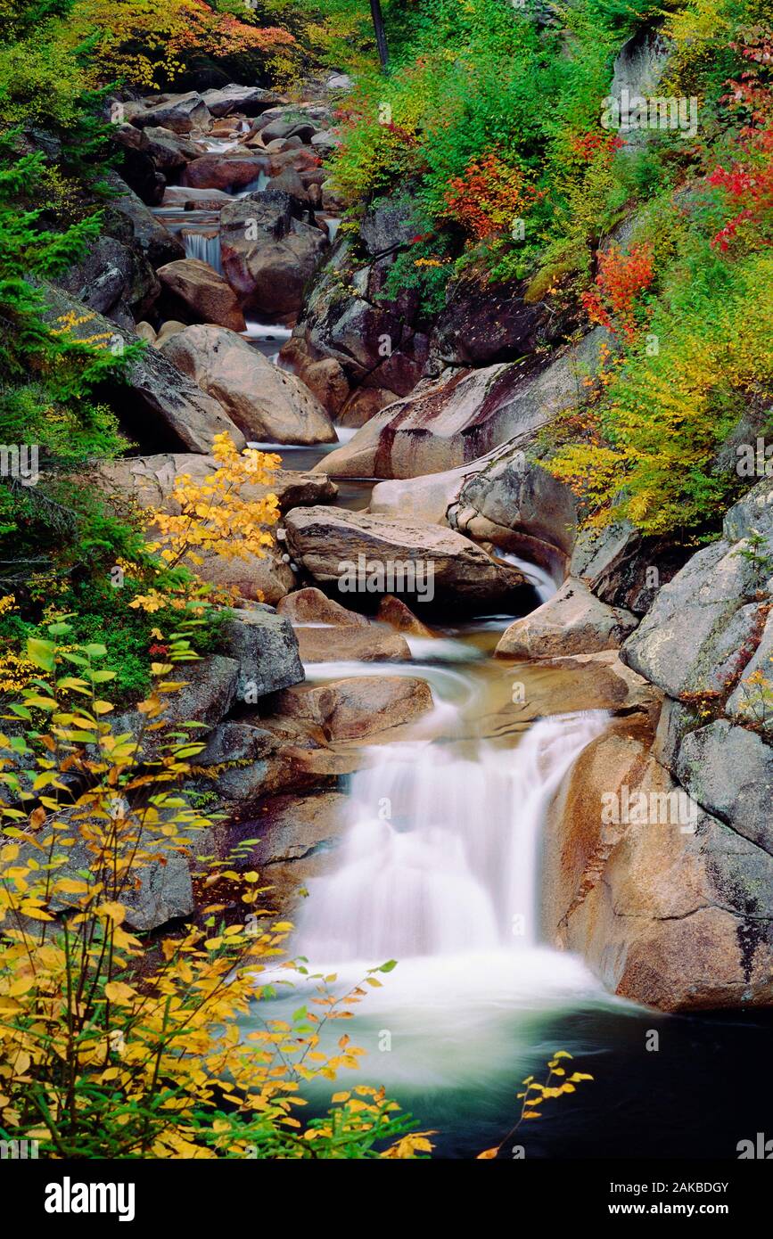 Stream und kleinen Wasserfällen fließt unter den Felsen, die Wildwasserbahn, Franconia Notch, New Hampshire, USA Stockfoto