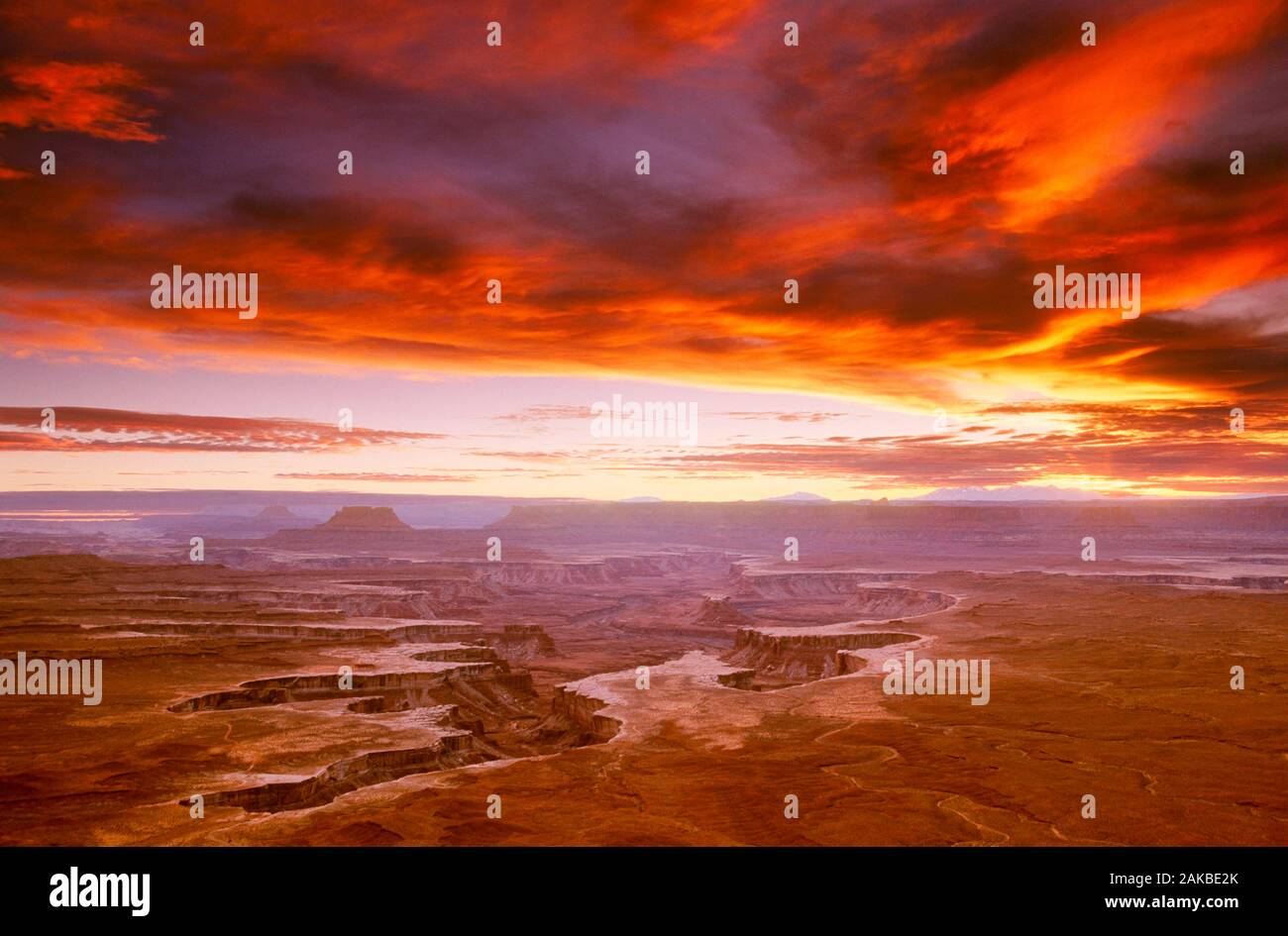 Blick auf den Sonnenuntergang über dem Canyon, Canyonlands National Park, Utah, USA Stockfoto