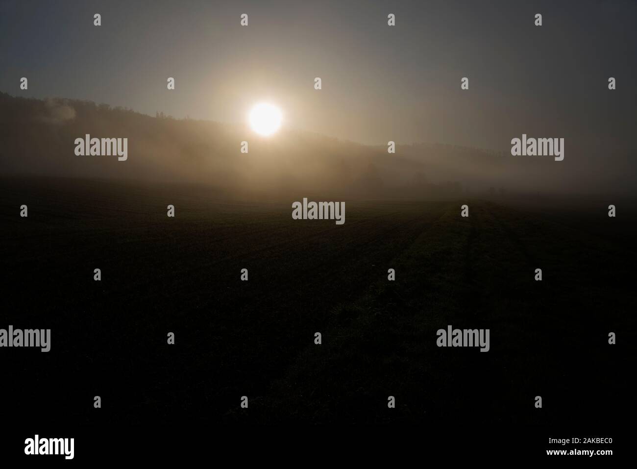 Neblige Landschaft, Oberweser, Wesertal, Weserbergland, Nordrhein-Westfalen, Hessen, Deutschland Stockfoto