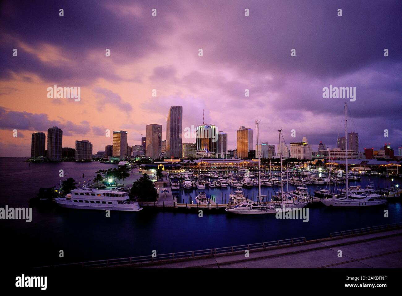 Marina und Downtown Skyline in der Morgendämmerung, Miami, Florida, USA Stockfoto