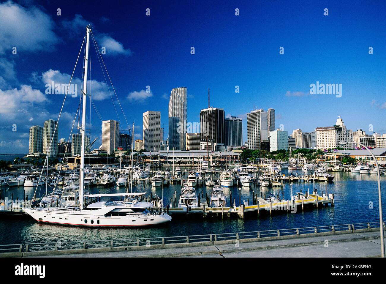 Marina und Downtown Skyline, Miami, Florida, USA Stockfoto