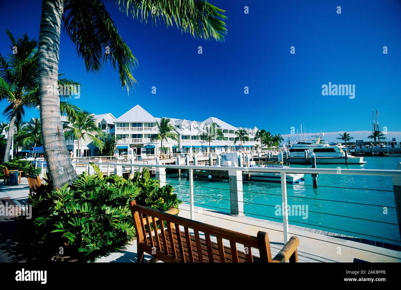 Promenade und Marina, Key West, Florida, USA Stockfoto
