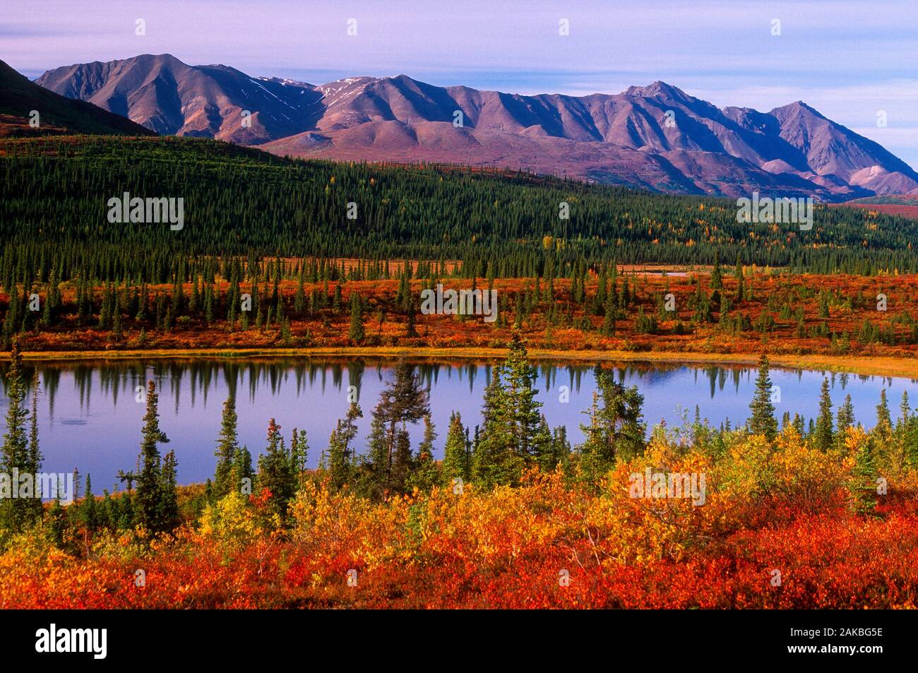 Fluss und Berge, Denali National Park, Alaska, USA Stockfoto