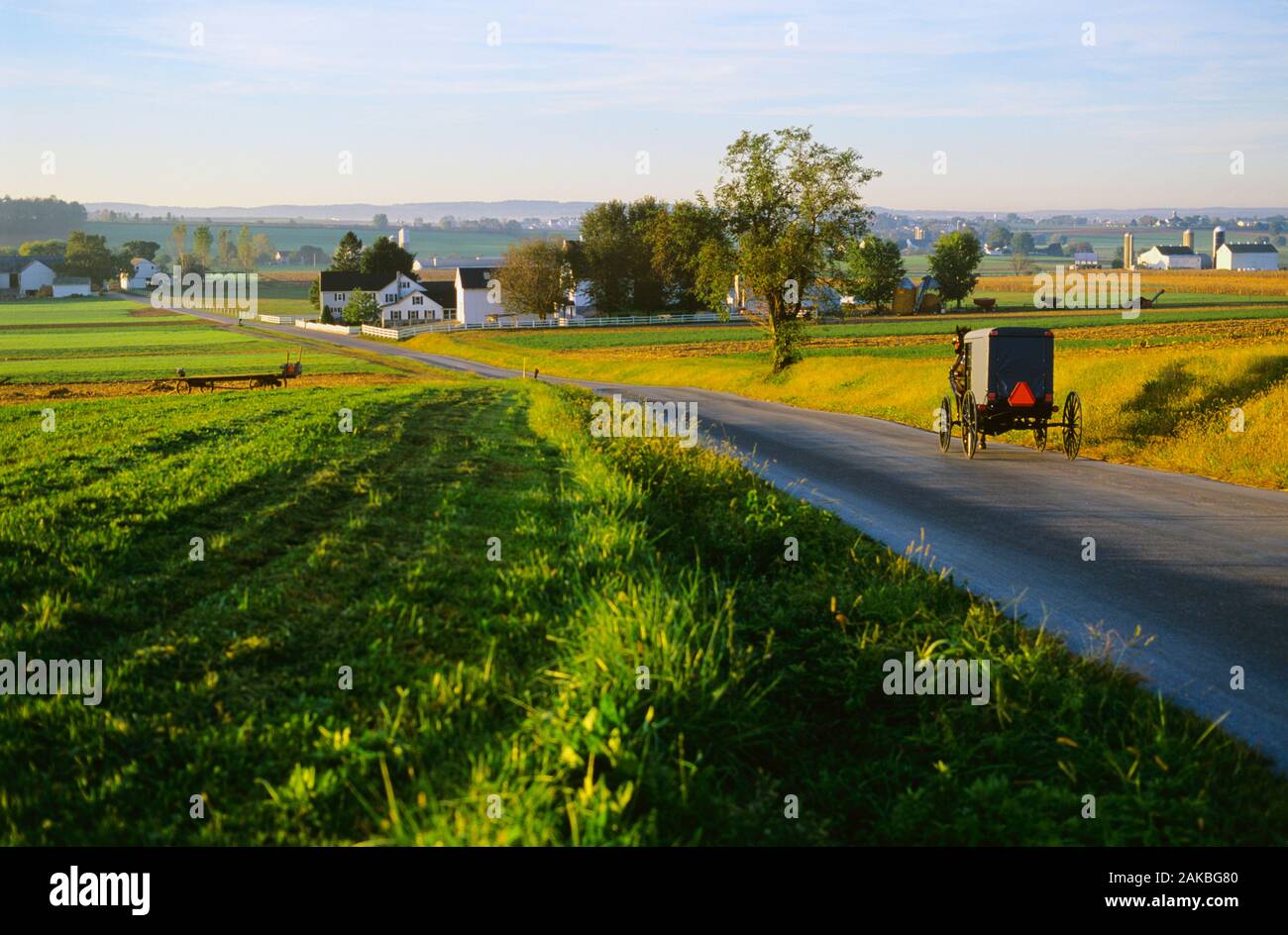 Amish Pferdekutsche auf Landstraße, Lancaster County, Pennsylvania, USA Stockfoto