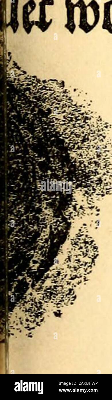 Die Maine historischen und genealogischen Recorder. ir (K. G oUegi o Medico mu) m Exa-m6I 65 K^ittti $ T&gt; Mt privilegimn^ dUt m datow Handlung^ aßen, Mt^MaUmtt tK B^u gt^ mUtt, Mt&gt; firf) fpldpe 3" t Metmaffen fre^ gefprorlpfn ii 3 Prl "cn, FT&gt; ic tJefftn 0 p^n^, (o^ne mmtit mt Un Wmtf)^^^^^^^ tkfttBmmi De 0e "fs&gt; ato itti. t) FT&gt; ic iet&gt; fr^m jttnfftmaf i^e ProMk "i0 q5 (i; rt) iint&gt; (ewAc^^ ariiX ebttci liUcoiaipy ^^ tt^, M^ii ftjirintsetflfri ^er 25 e0e & enjeifmlt) (i^- iff 0 e0 Fiin) 4 rttfle^ Atteftat injft) ifc 5 en. Stockfoto