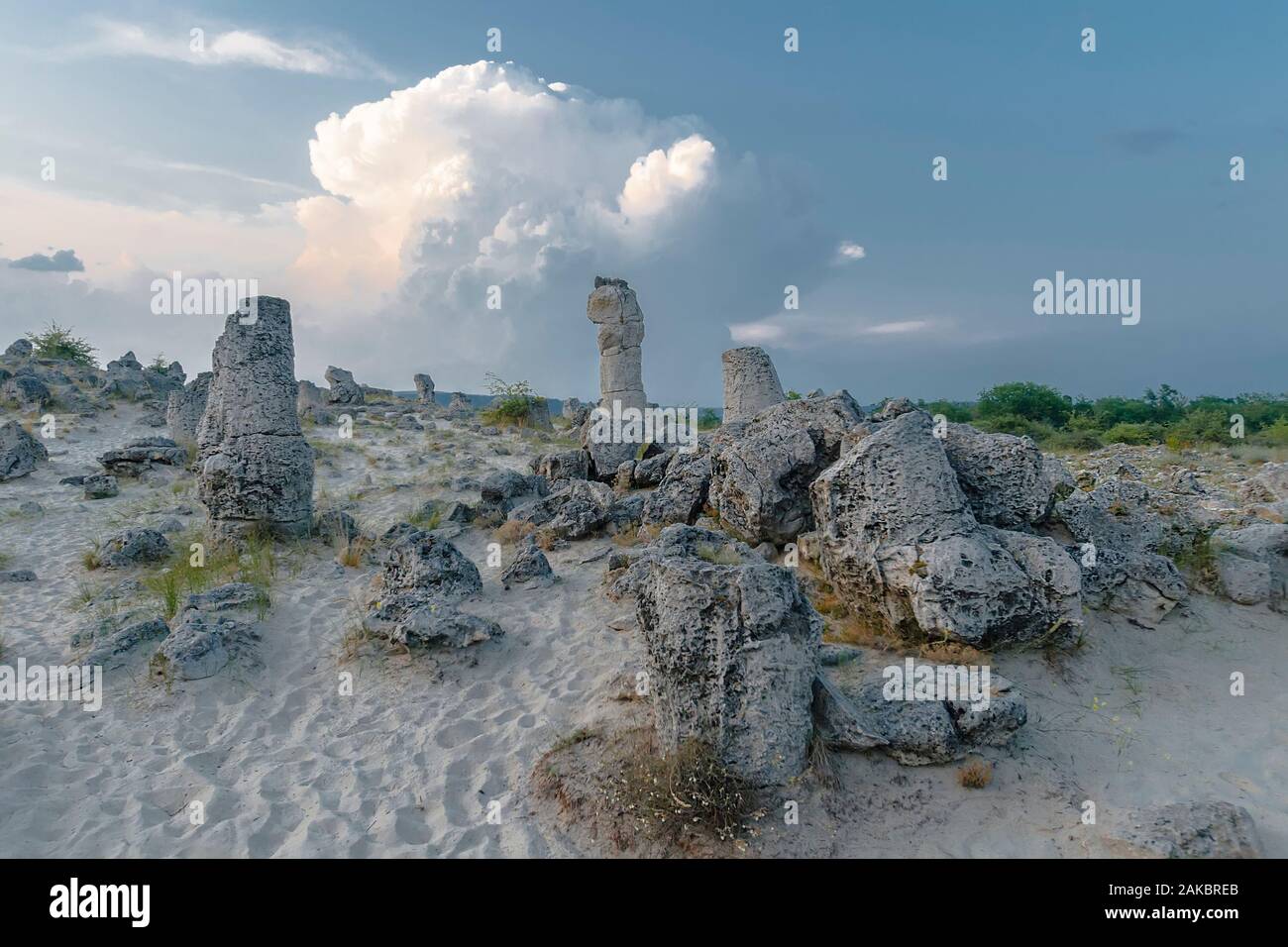 Pobiti Kamani, auch als die Steinwüste bekannt, ist eine Wüste - wie rock Phänomen auf der North West Provinz Grenze Varna in Bulgarien. Stockfoto