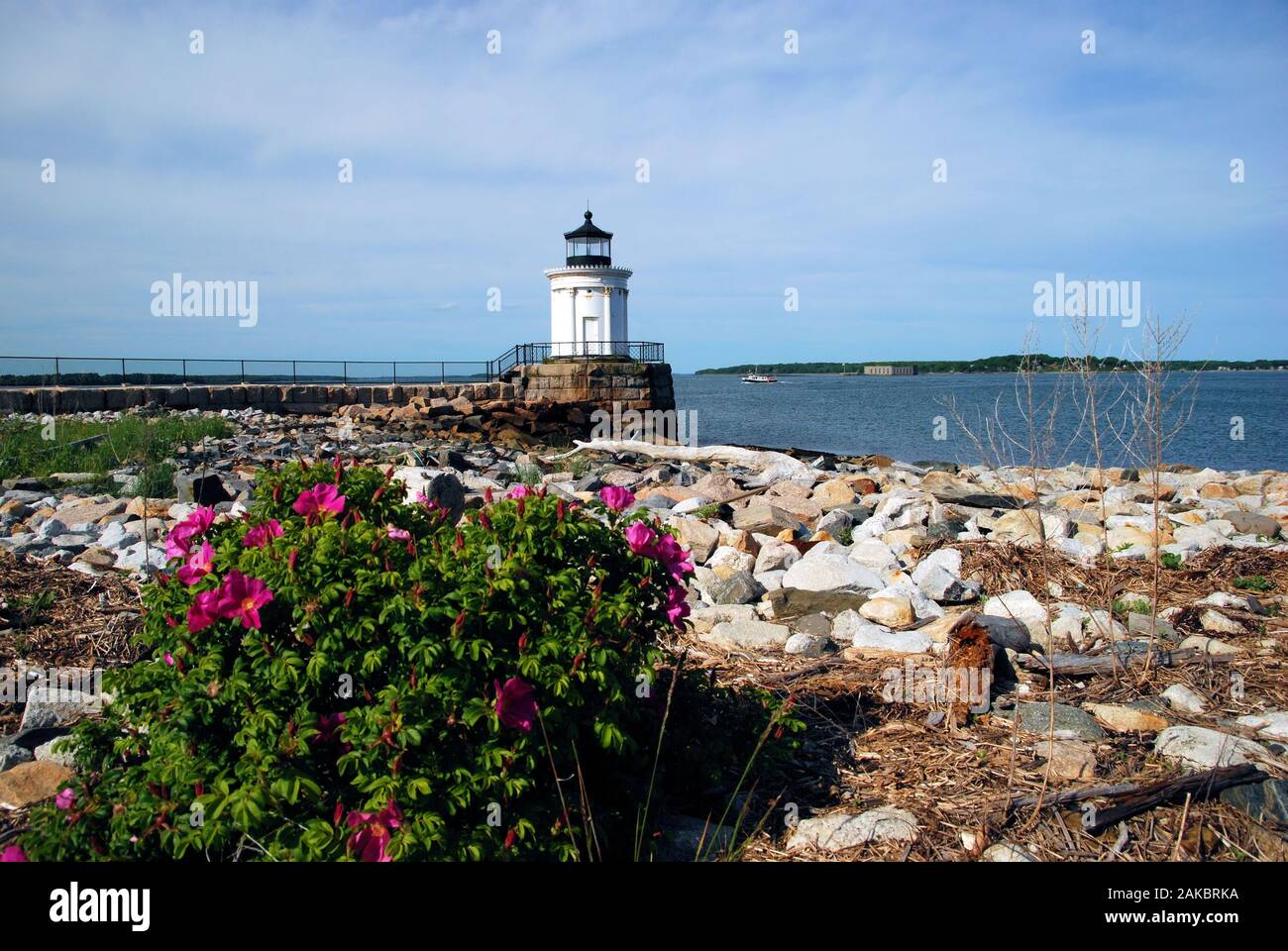 Das Portland Breakwater Light (auch Bug Light genannt) ist ein kleines Licht Stockfoto
