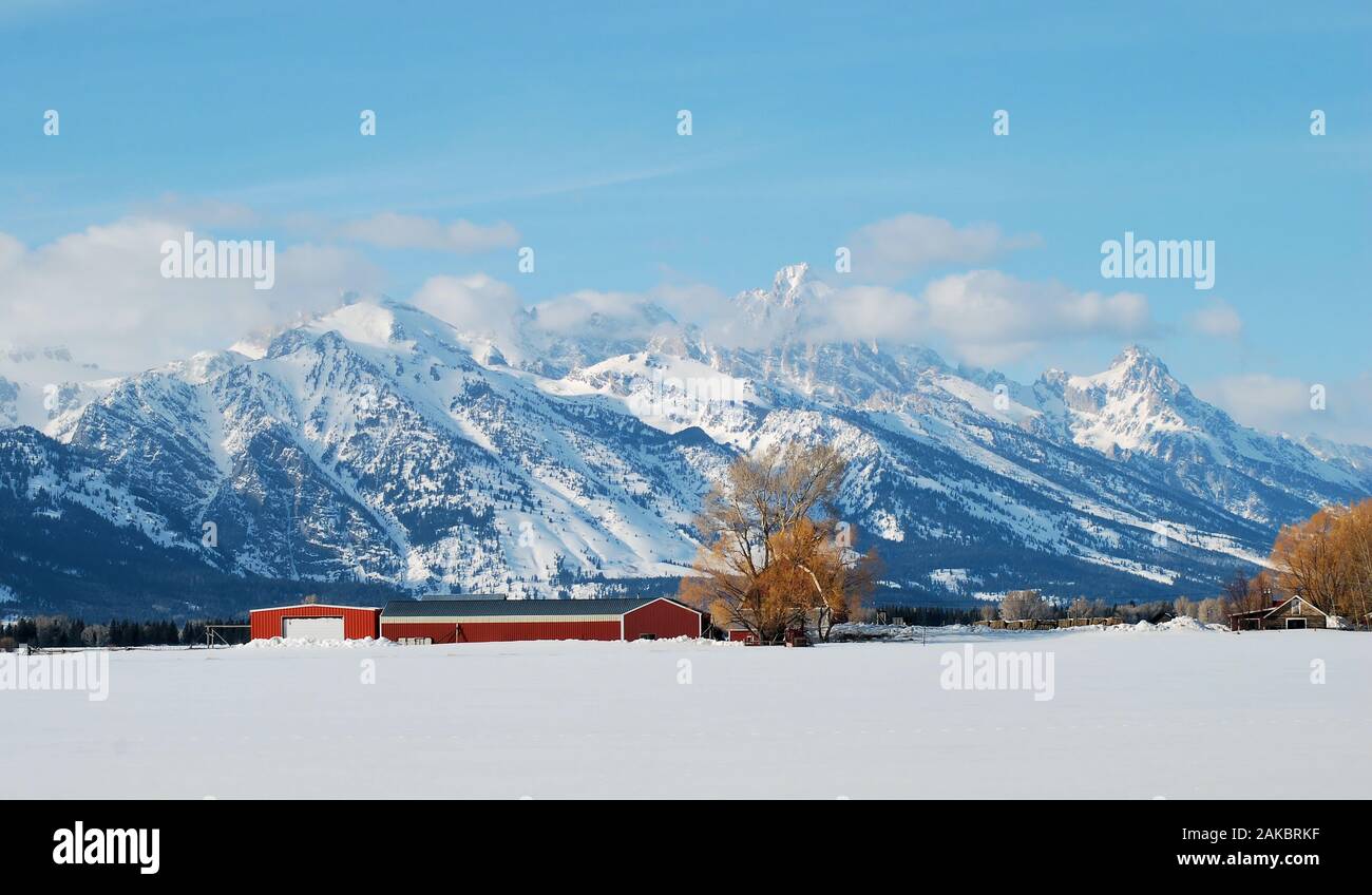 Blick über frisch gefallenen Schnee in den Grand Tetons Stockfoto