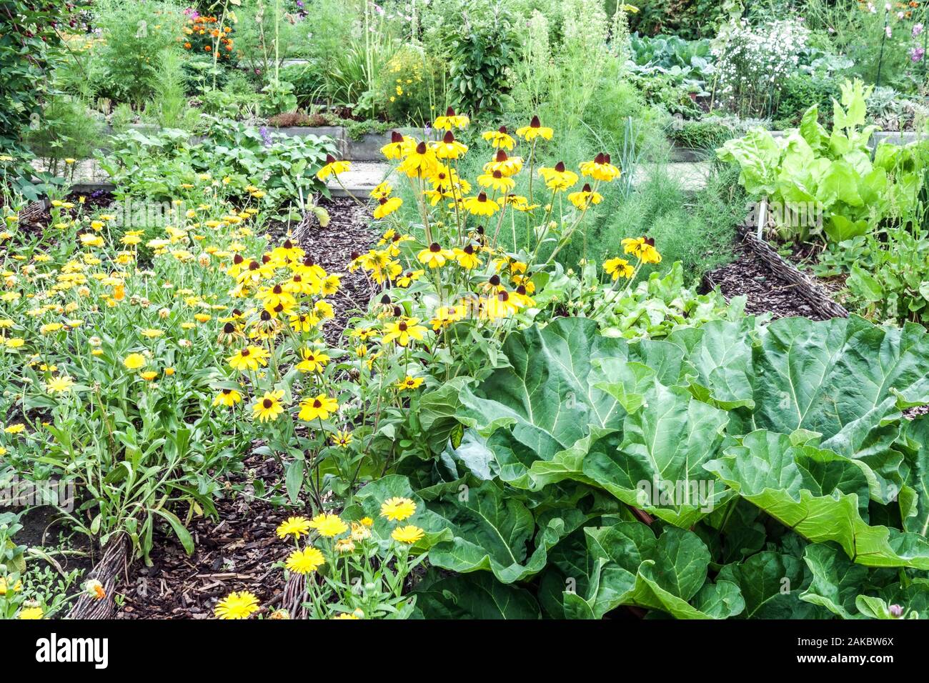 Gemüsegarten blumen Fotos und Bildmaterial in hoher Auflösung Alamy