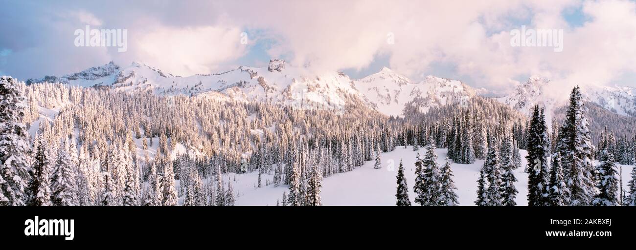Schneesturm, Tatoosh, Mount Rainier National Park, Washington State, USA Stockfoto