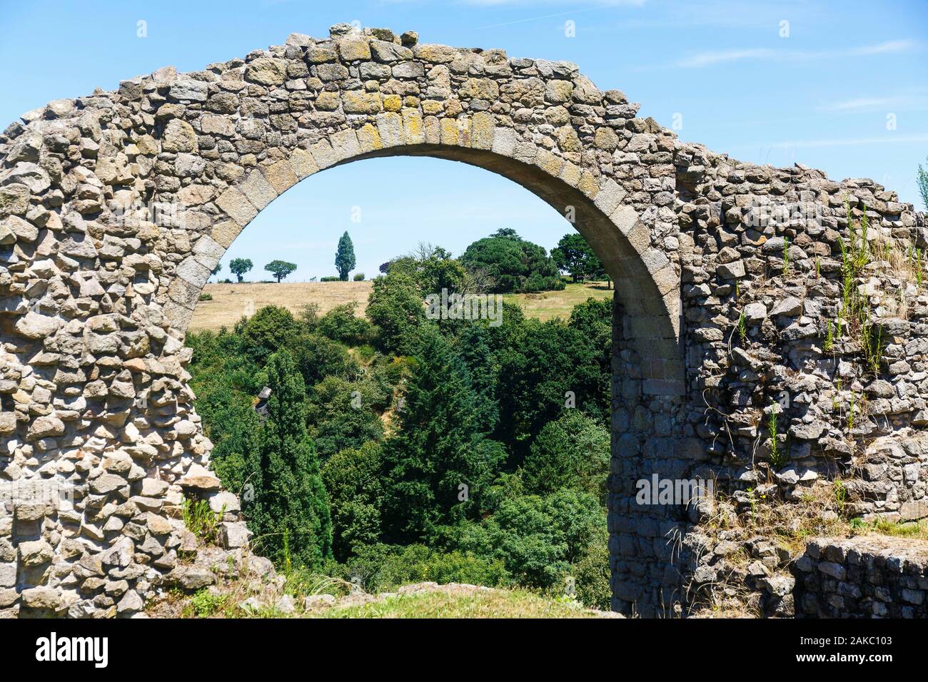 Frankreich, Vendee, Tiffauges, das Schloss Eingang Stockfoto